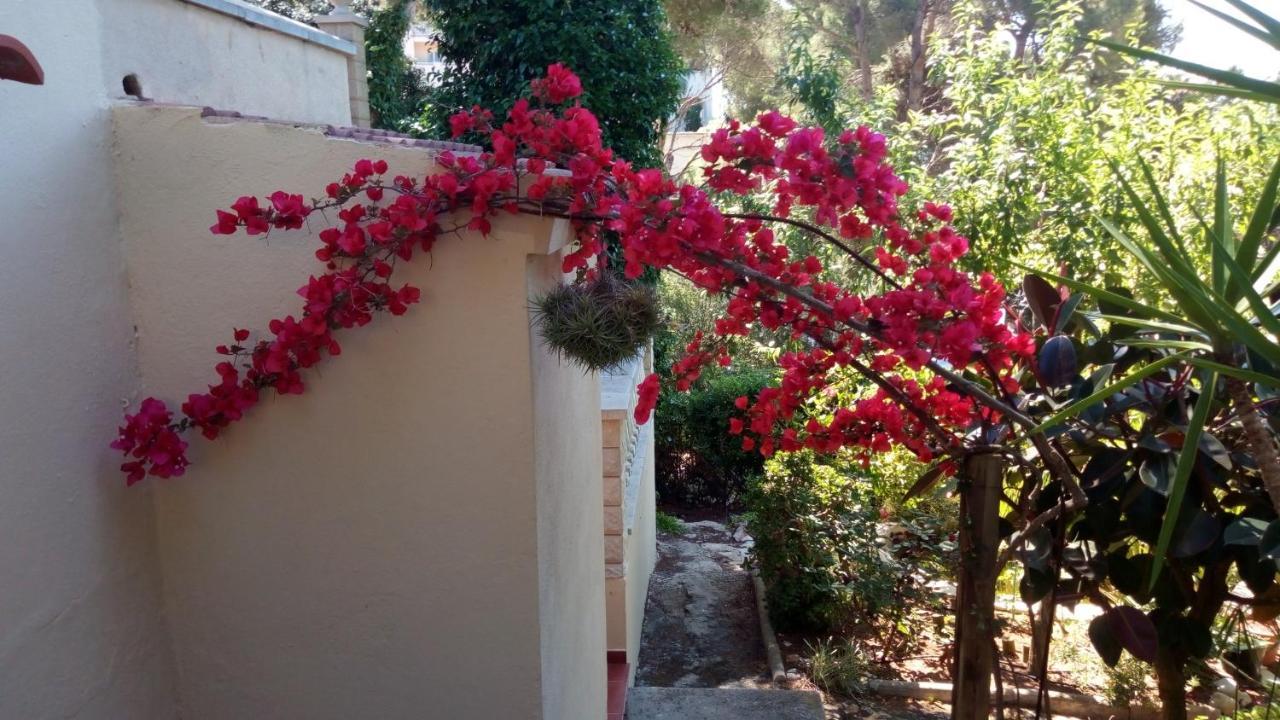 Casa Montse Villa Cala Galdana  Dış mekan fotoğraf